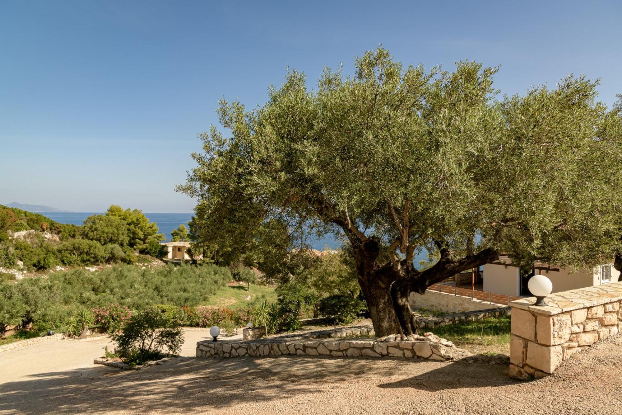 Villa Mare Studios Skinaria ภายนอก รูปภาพ